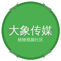 大象传媒